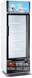 C001款单门展示柜冰柜 PB-208D