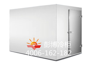 K001款低温保鲜冷库 PC-20