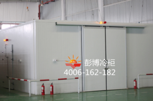 K002款医用冷库低温冷藏库 PC-30A